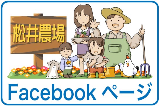 松井味噌　フェイスブックページ