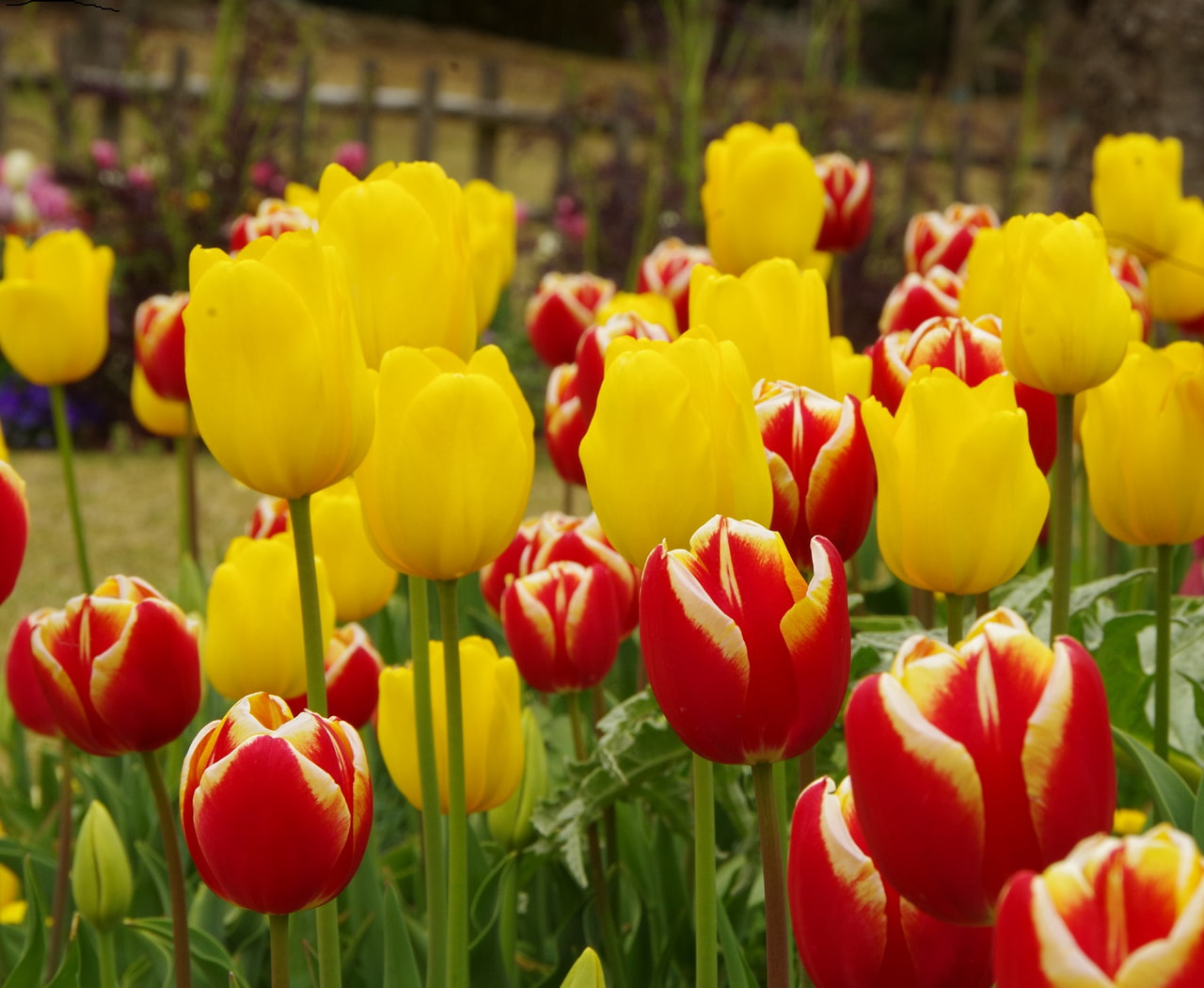 ＧＷ休業期間について