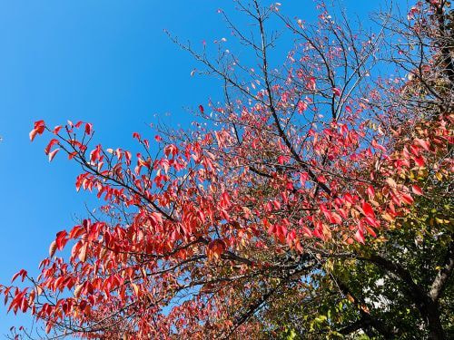 今日は何の日？