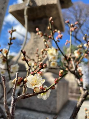 終わりは丁寧に。