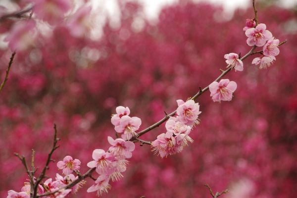 今、熱いもの！