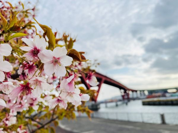 ご卒業おめでとうございます🌸
